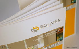 創(chuàng)意賦能品牌價值 廣東產品包裝設計與畫冊設計的策劃服務解析