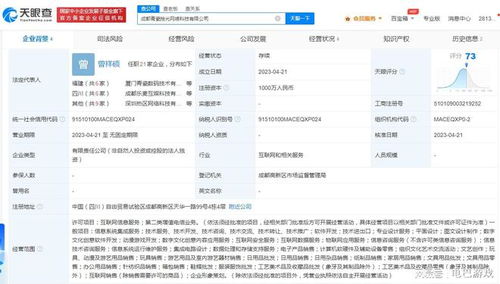 青瓷游戲成都新設公司，深化布局互聯網數據服務